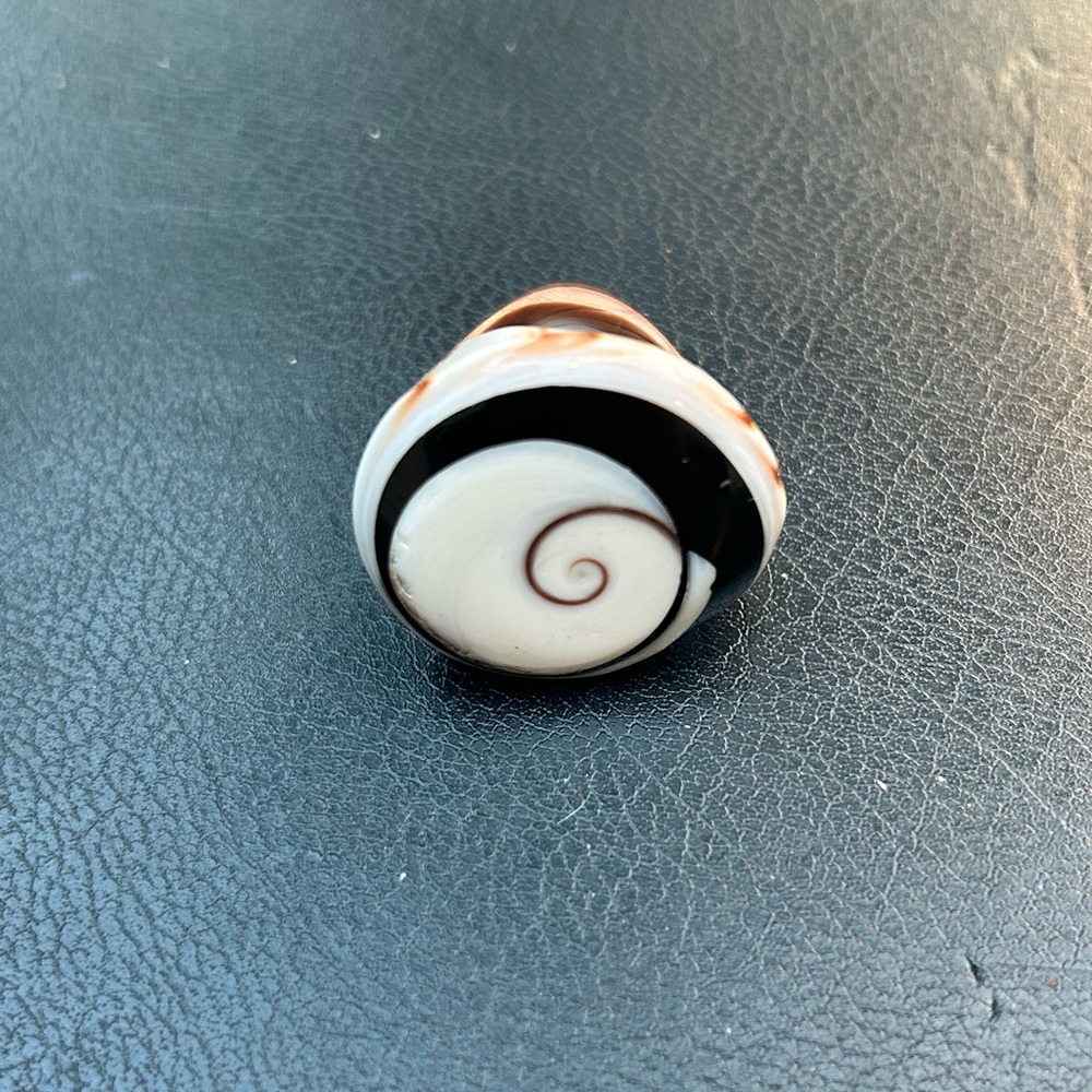 Unique Polished Shell Ring - Picture 2 of 7